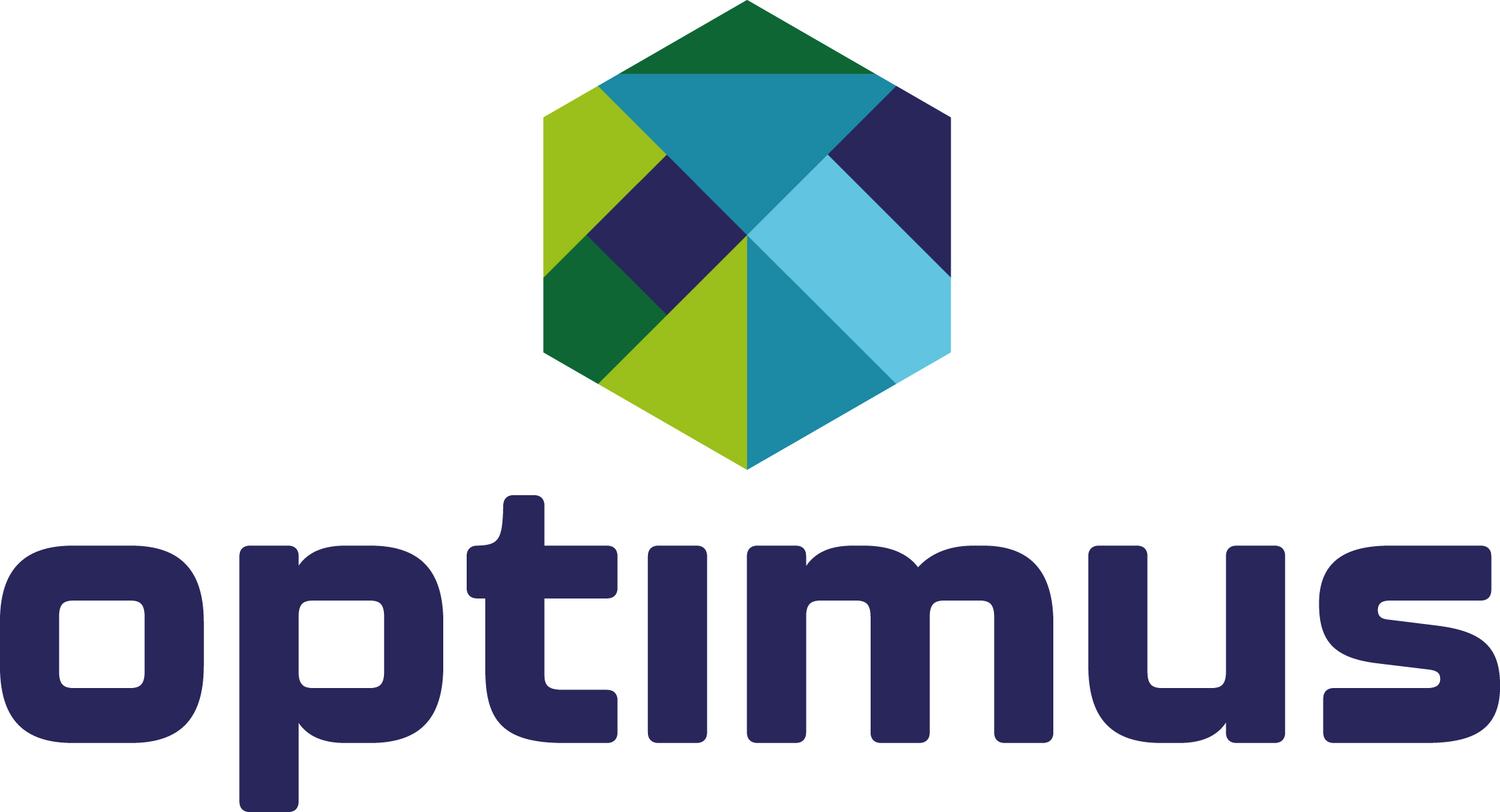 IBP Stichting Optimus Primair Onderwijs